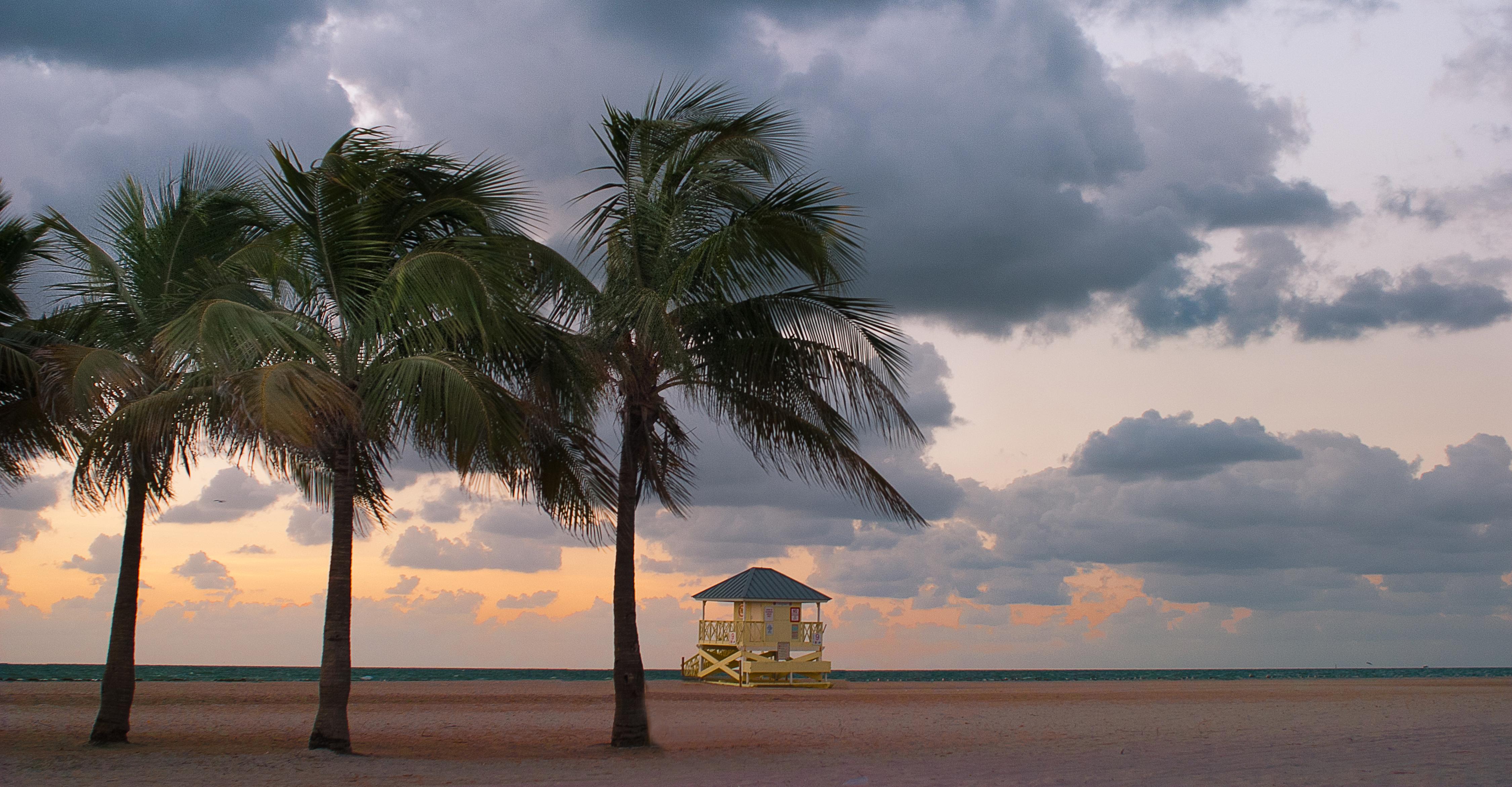 Leslie Hotel Ocean Drive Miami Beach Exterior foto